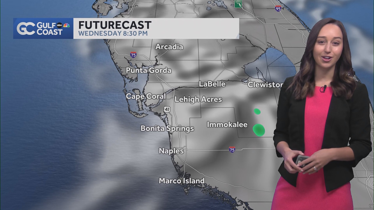 NBC 2 News at 11_20250205_16001700.ts_snapshot_18.34.021