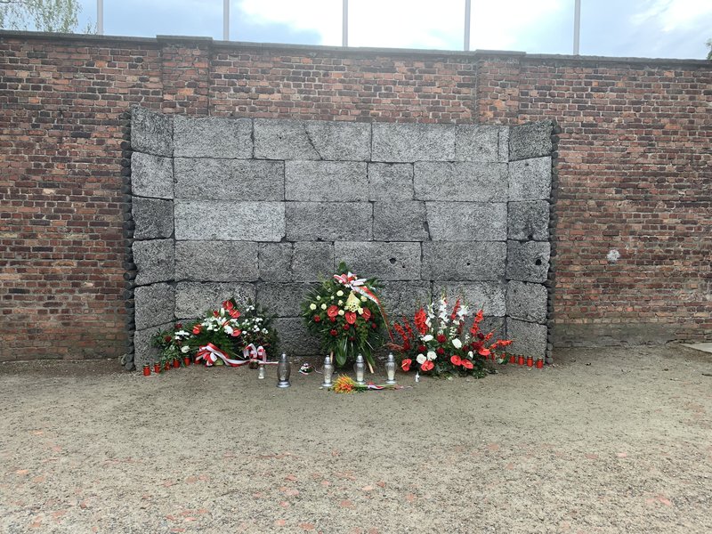 Cracovia (Kraków) y Auschwitz - Polonia en verano de 2024 (8)