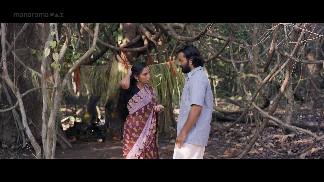 vlcsnap 2026 02 06 18h02m44s955