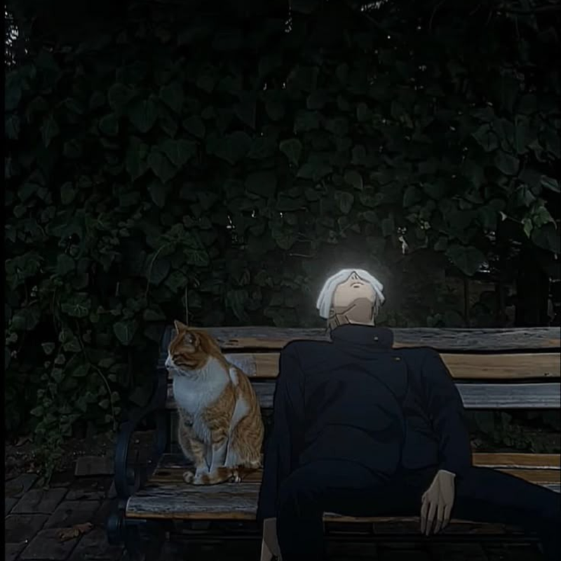 Cat and boy