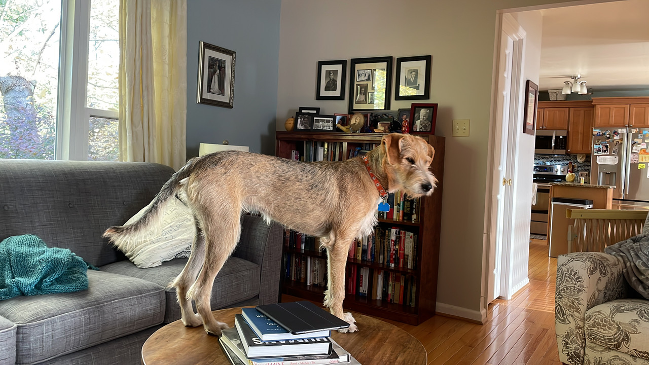 3AA25A7F-27E4-40D0-9B79-4142E296605C