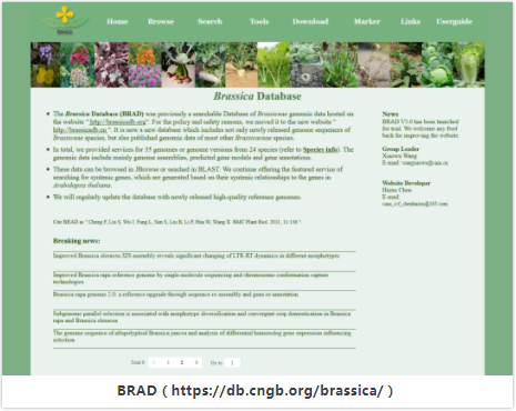 BRAD：十字花科植物基因组资源综合数据库-1.png