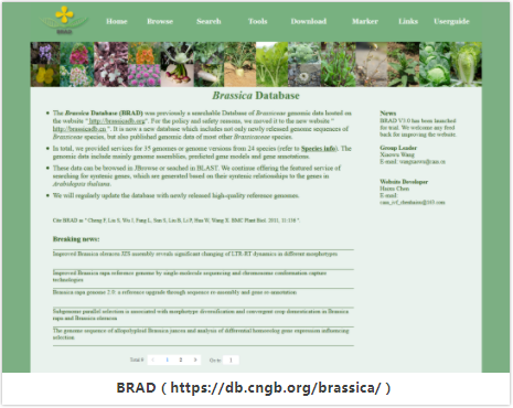 BRAD:十字花科植物基因组资源综合数据库-1.png