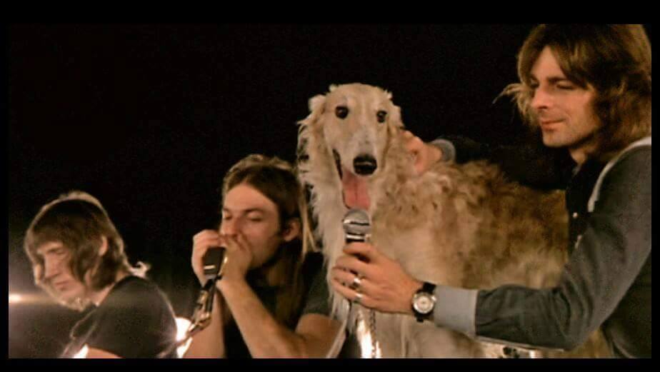 14449757_1826937014259609_2558585641819667919_n