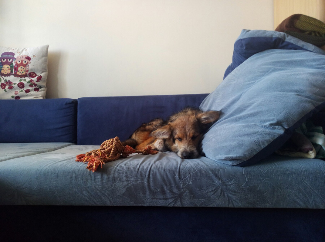 изображение_viber_2020-06-28_18-51-57