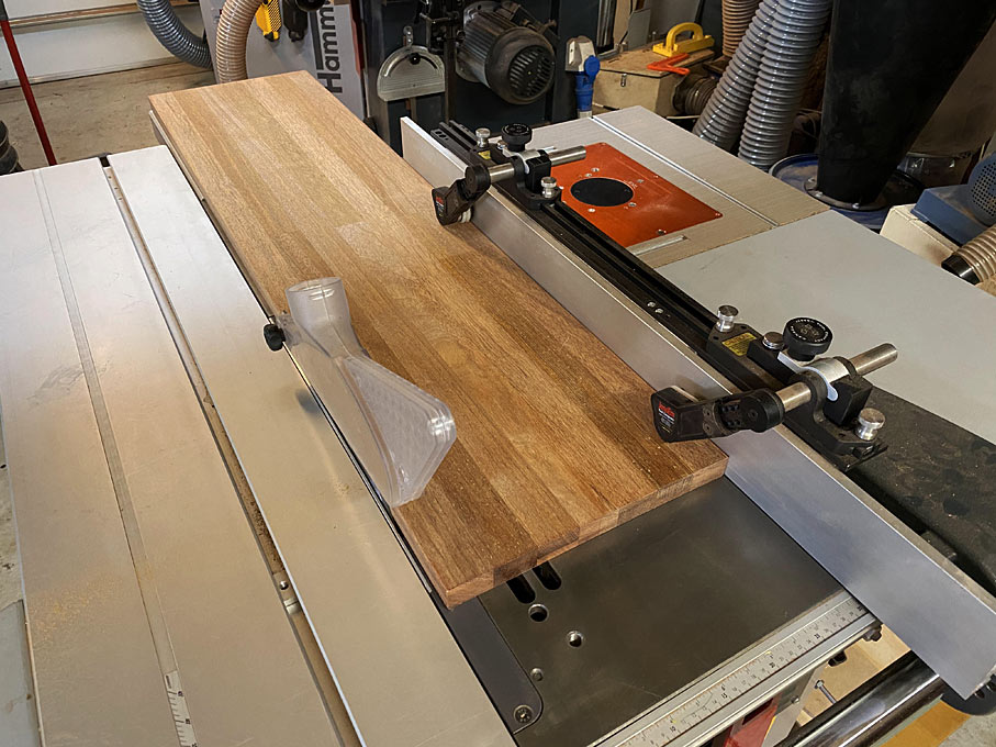 Jessem Clear Cut TS guides on jobsite saw