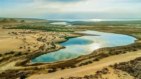 محمية قارون أقدم البحيرات الطبيعية في العالم وتحتوي على نصف طيور مصر.. حين تستغيث الطبيعة ويصمت الإنسان