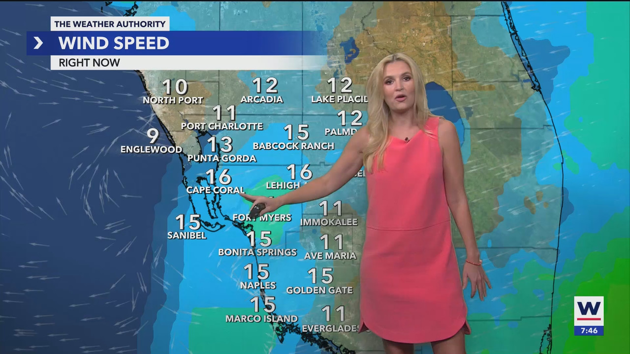 06.02 - 00.30.00 - WINK News at 7 30PM..ts_snapshot_22.15.279