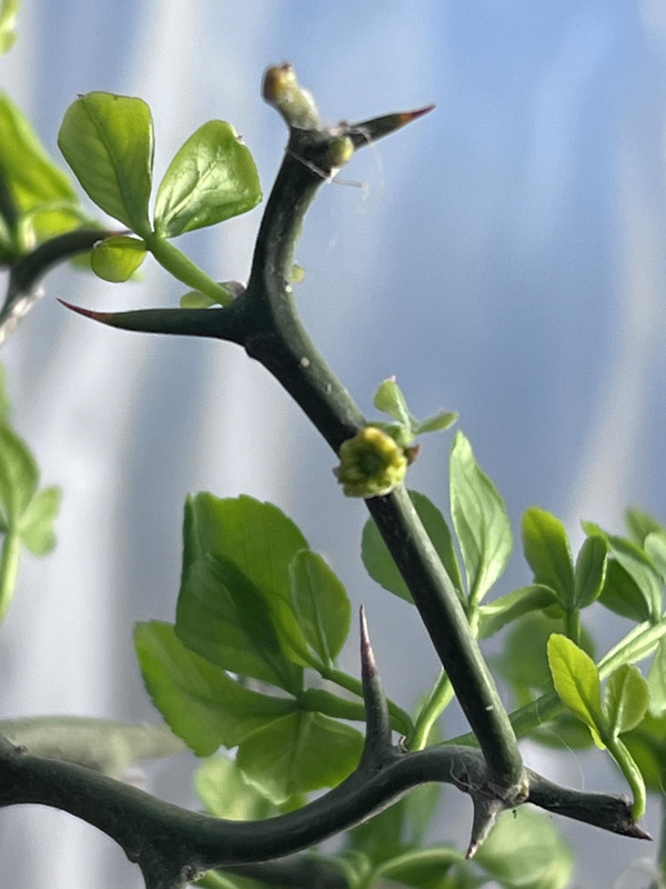 431631246_1924528127950097_8788048380076007231_n (1)