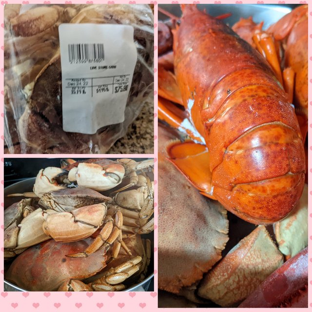 [Image: Photo-Grid-1672011577338.jpg]