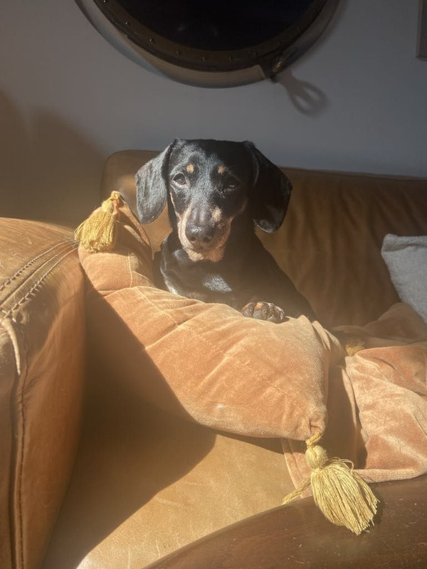 [Image: IMG-20240901-113933.jpg]