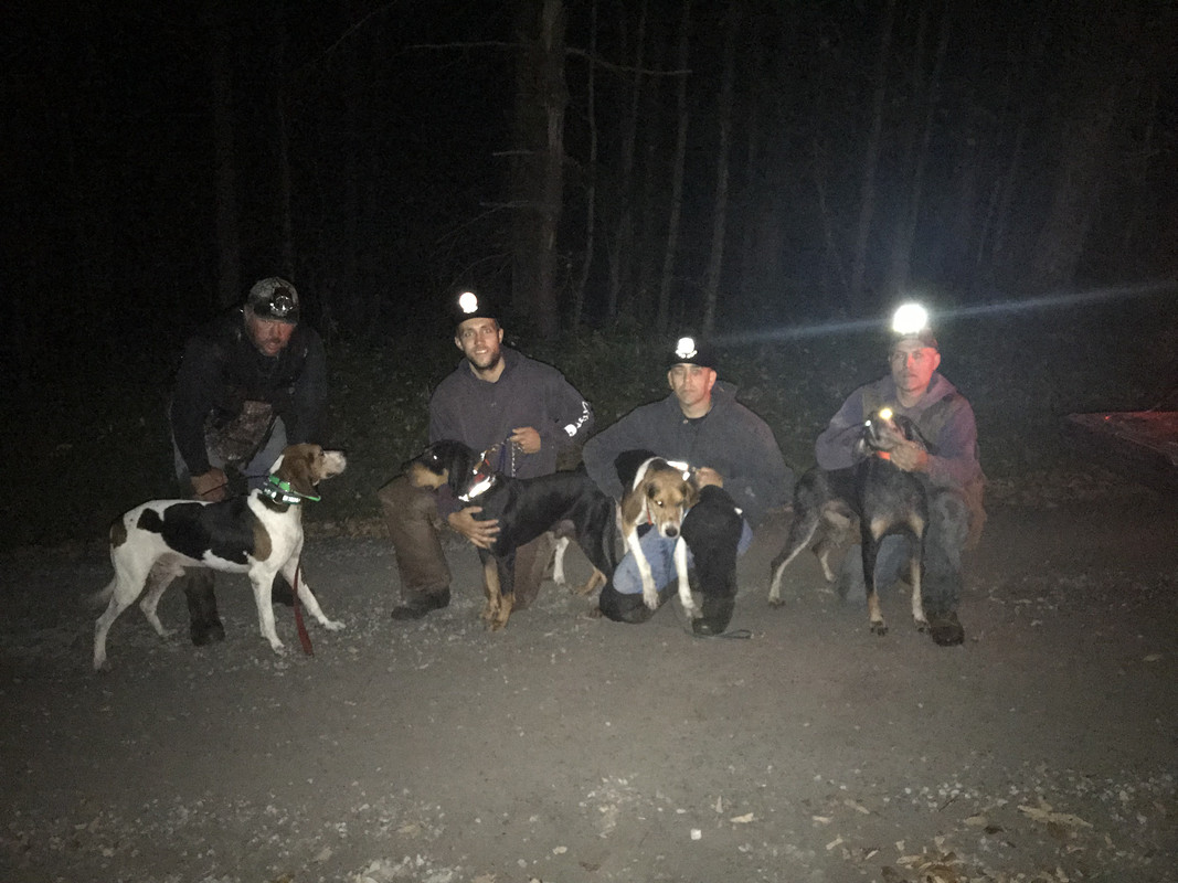 A191A9BE-A241-4590-90DA-455F14FF481D