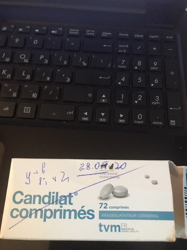 06F03B0B-358A-4768-BEFF-7A93B29D4E73