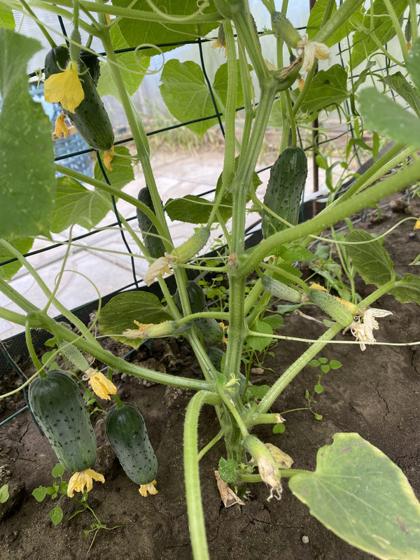 1880CEDD-A90C-4609-A0AD-F242EE88469B