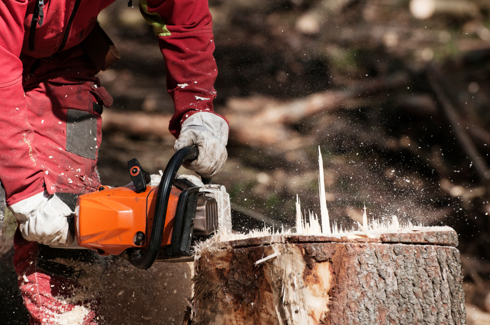 Stump Removal Stump Removal