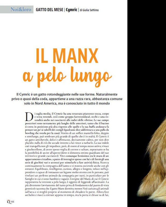 QuattroZampe Set 2021 (9)