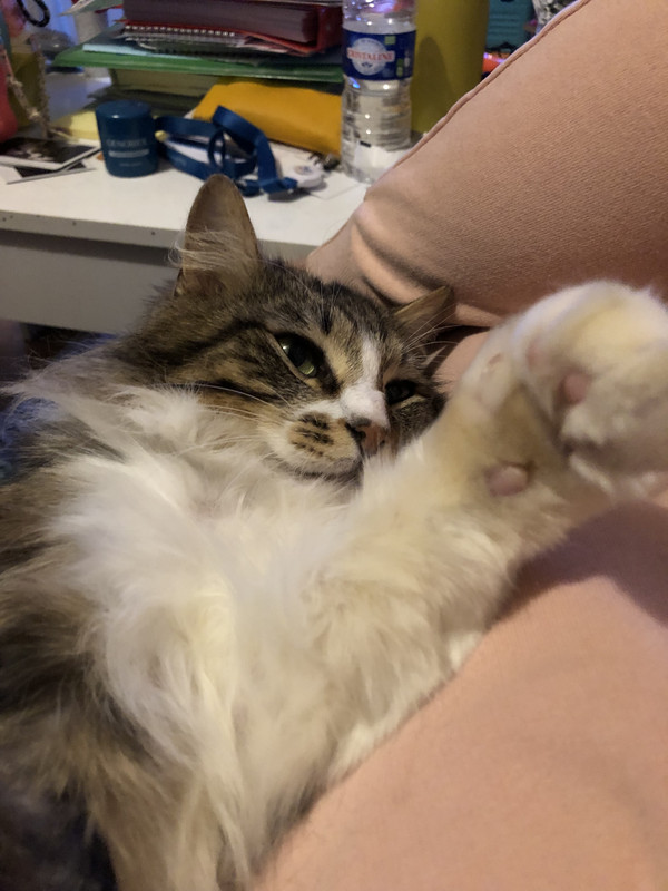 D88BEB02-875A-4AD1-A9E3-19B68C4B3499