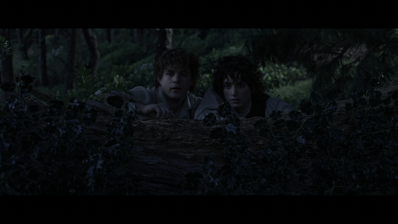 The Lord of the Rings- The Fellowship of the Ring (EXT.) PT. 1.mkv_snapshot_00.45.30_[2020.12.05_22.