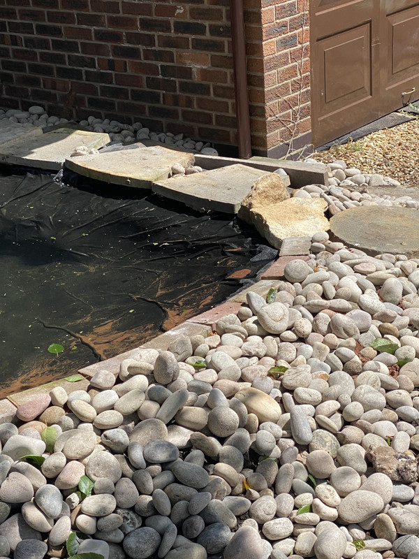 5BE83D8C-1F0B-4BF6-8759-CFC0447A48C7