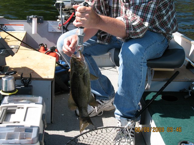 IMG-1533.jpg