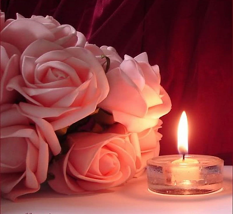 [Image: HD-wallpaper-glow-on-the-roses-candle-gl...s-pink.jpg]
