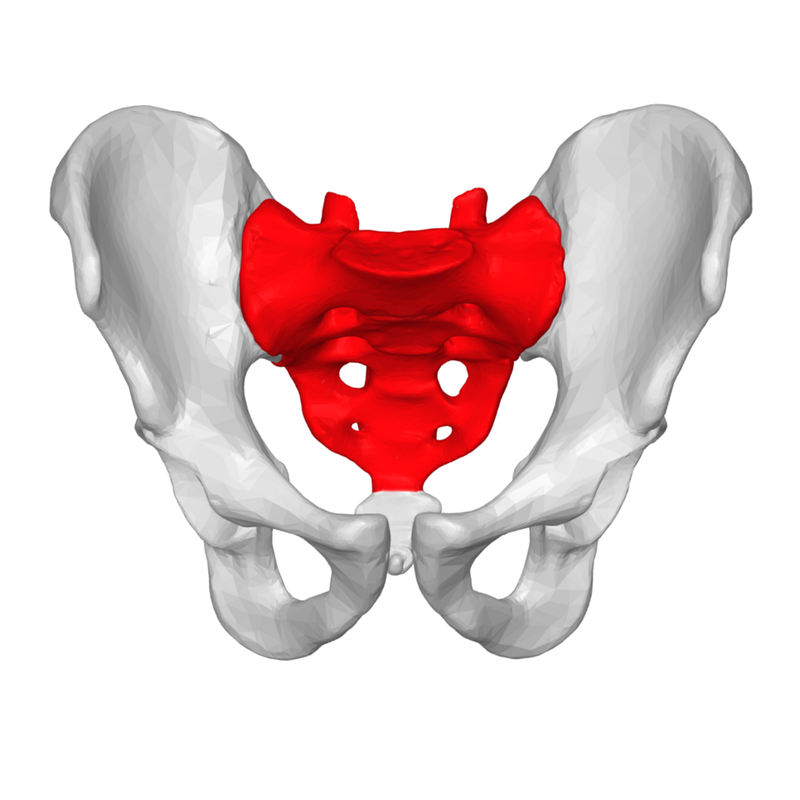 Logo Sacrum