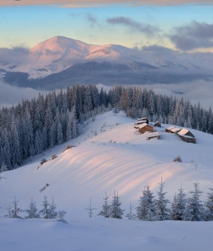 Screenshot_20240113_143408_Pinterest