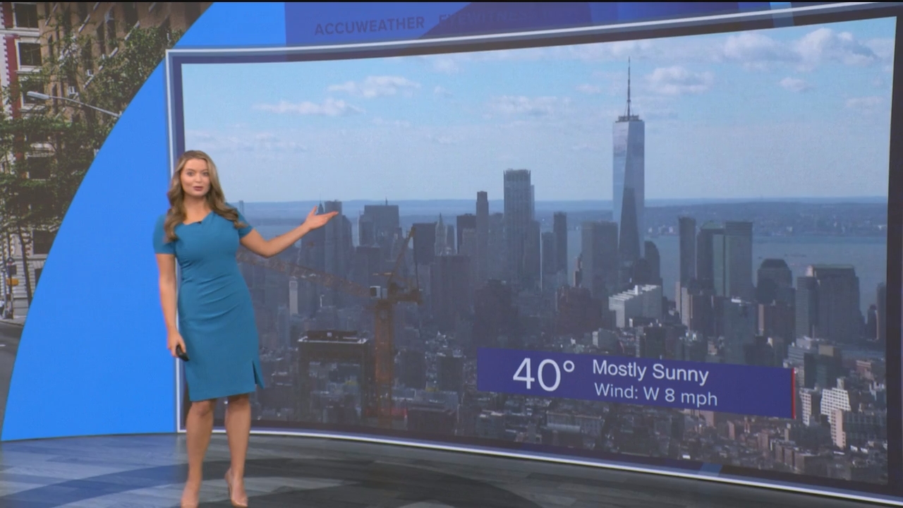Eyewitness News Mornings at 10_20250307_15001600.ts_snapshot_18.16.002