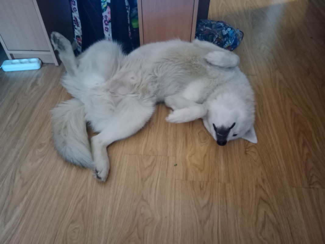 C5955A08-0ED6-423F-AD53-75AE2DEF1566