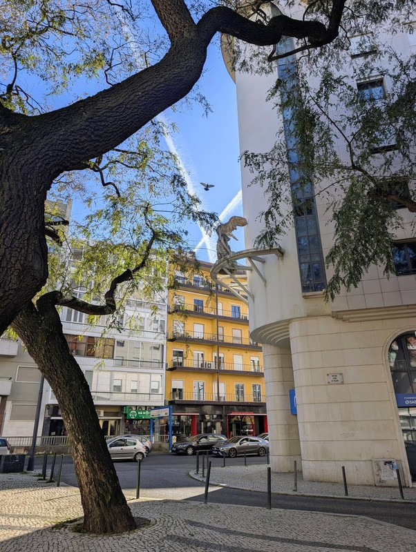 641523546 25529337426765887 8375726332664593899 n