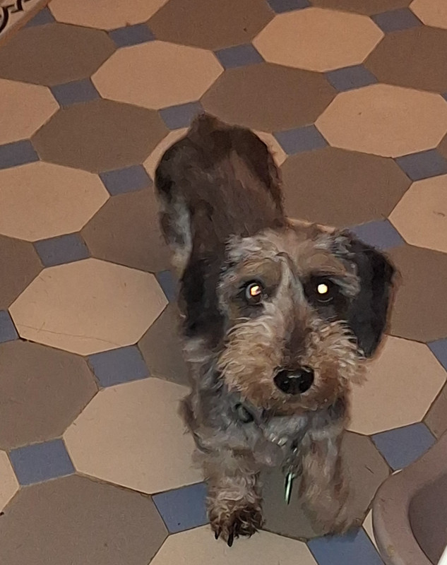 [Image: 20240824-200734.jpg]