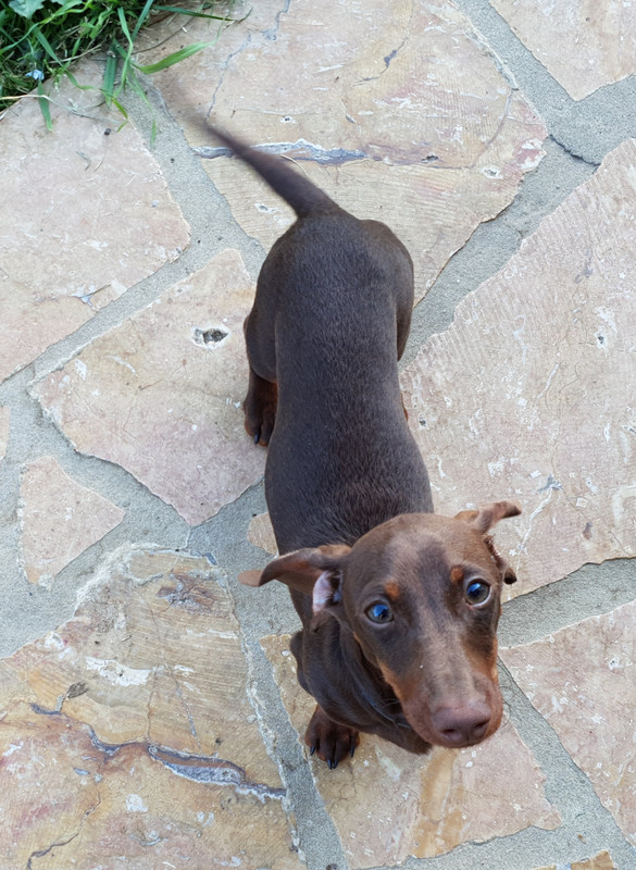 [Image: 20210427-194942.jpg]