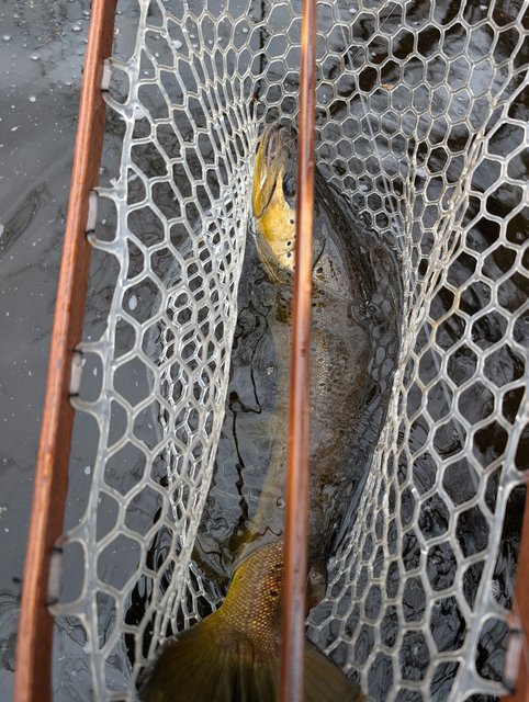 PXL_20250403_192525422.MP