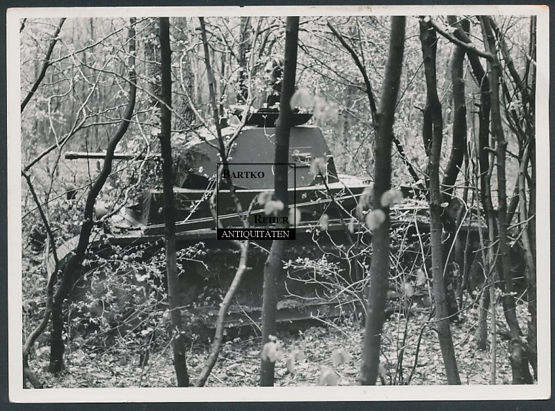 Panzerdivision IV in Mödling Panzer in Tarnstell