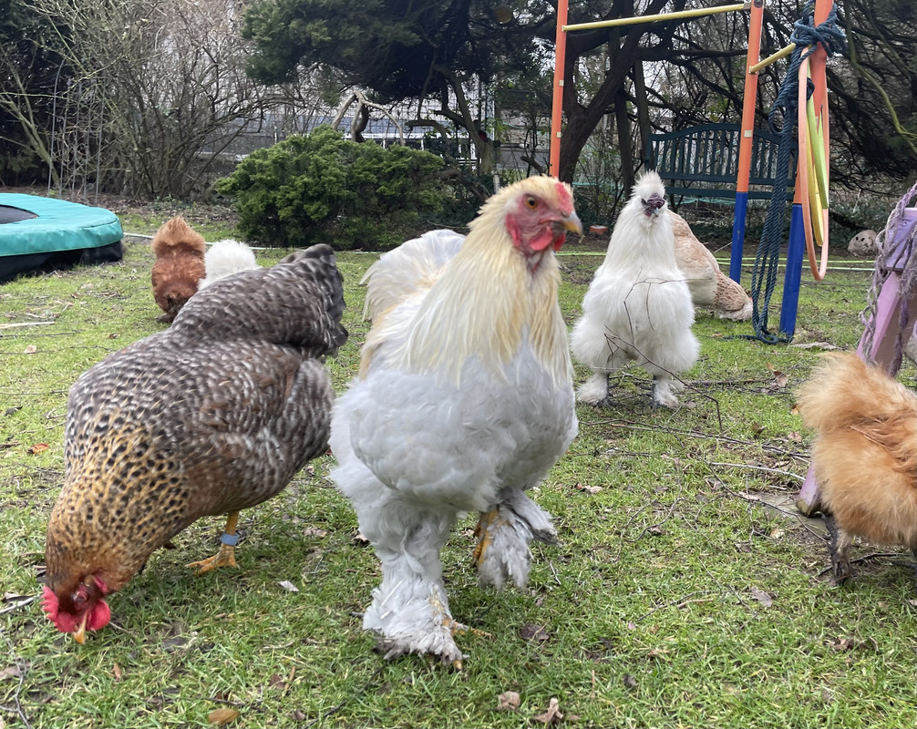 A566E8E5-D84A-4E5E-8C59-2B5D6B0A8B32