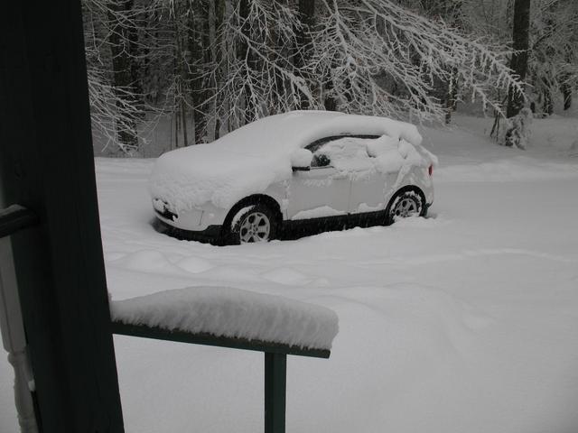 IMG-1989.jpg