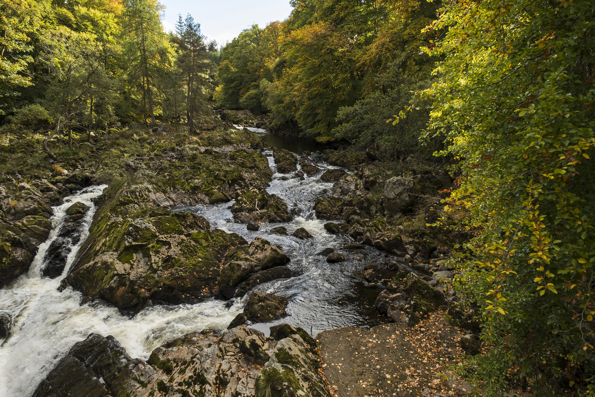 Week 40 209657 Autumn S