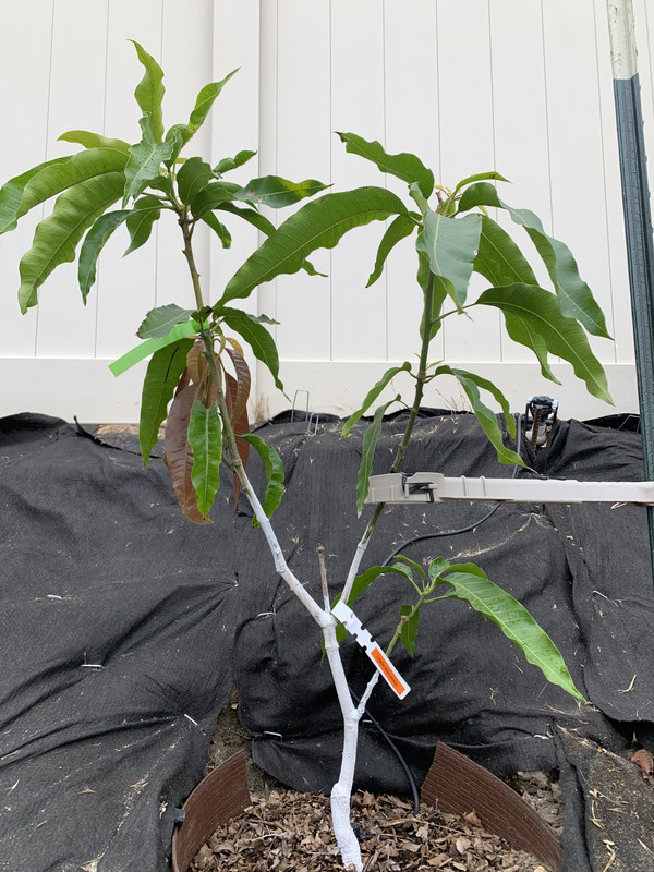 1F4EC4E4-D520-4B95-80C6-23AA182E3C89