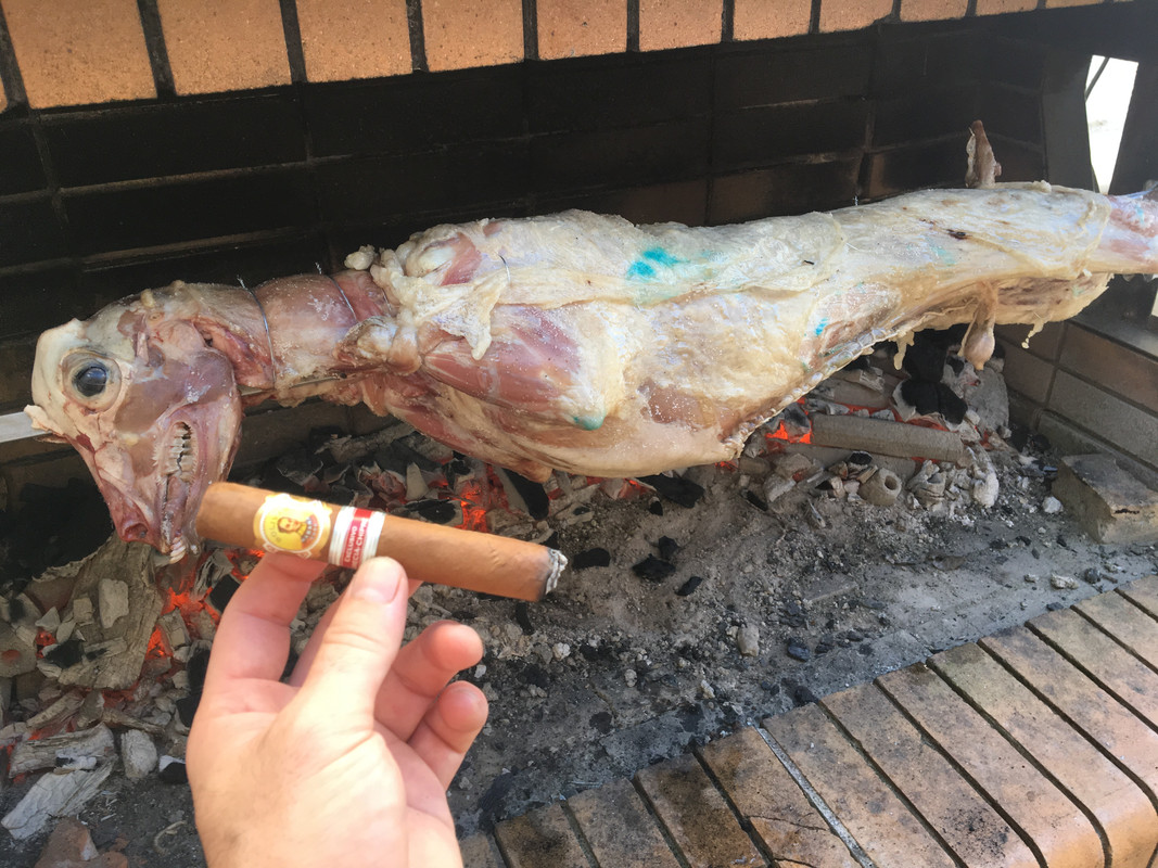 1345F897-770D-4A24-856B-7CE974C9F47B