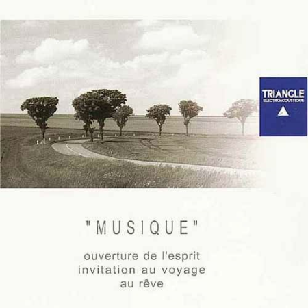 VA - Triangle Electroacoustique Musique (2002)