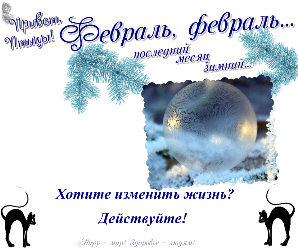 https://i.postimg.cc/VLLfdqFY/06-02.png