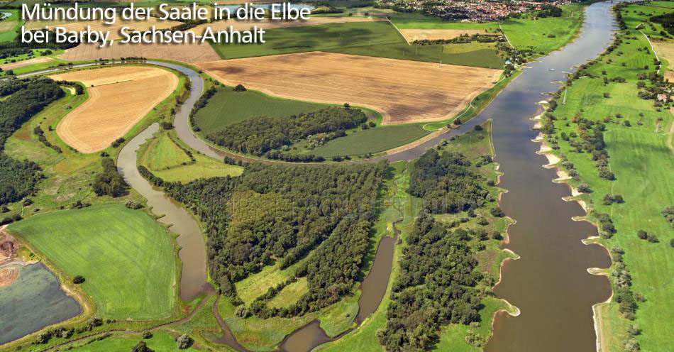 [Bild: Saale.jpg]