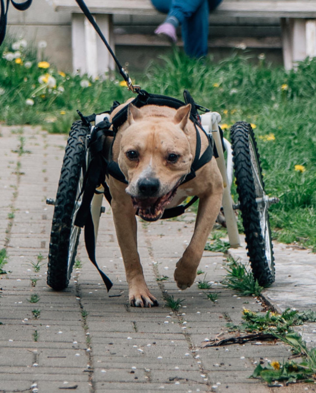 E4FE21FB-C663-4678-8B81-2D6D0FC5EACE