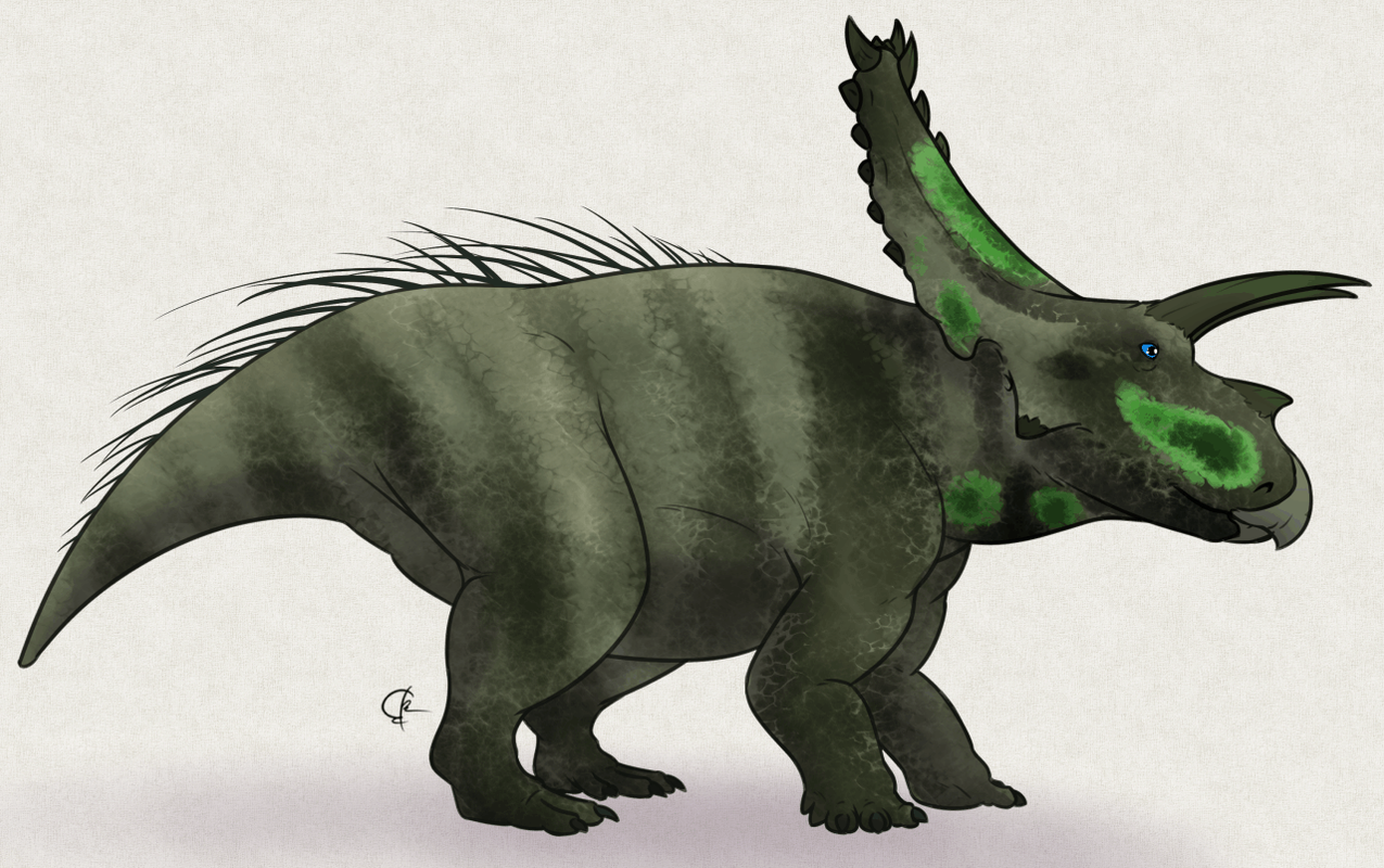 tumblr_inline_okf3ibm7ae1rx4yme_1280