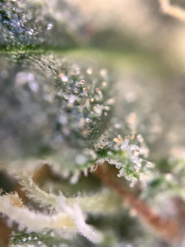 D3040450-0344-4BEC-B0E5-3CE571F81200