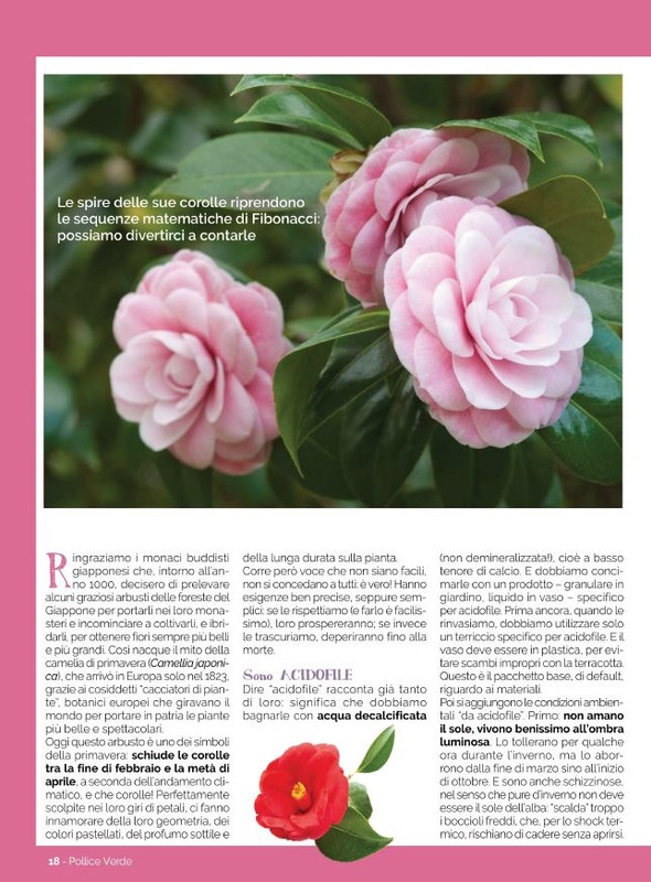 Pol Ver Mar-Apr 2022 (3)