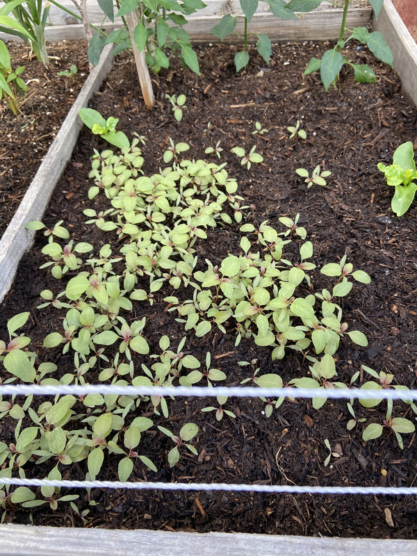 B0E266D8-156F-4119-8607-B813F63280B5