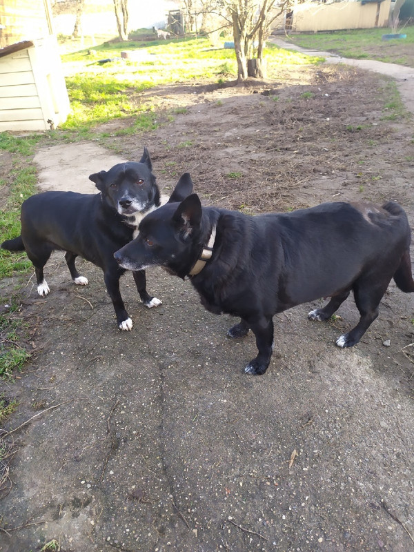 Кнопа_Маня2