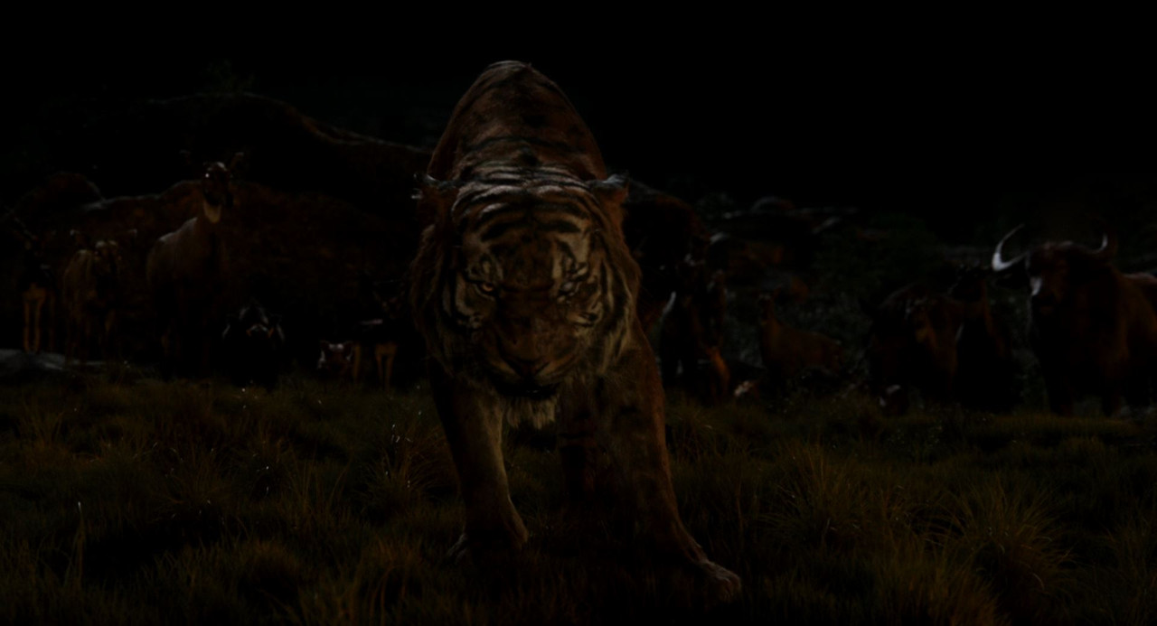 Fotos 05903 The.Jungle.Book.2016.1080p.BDRip