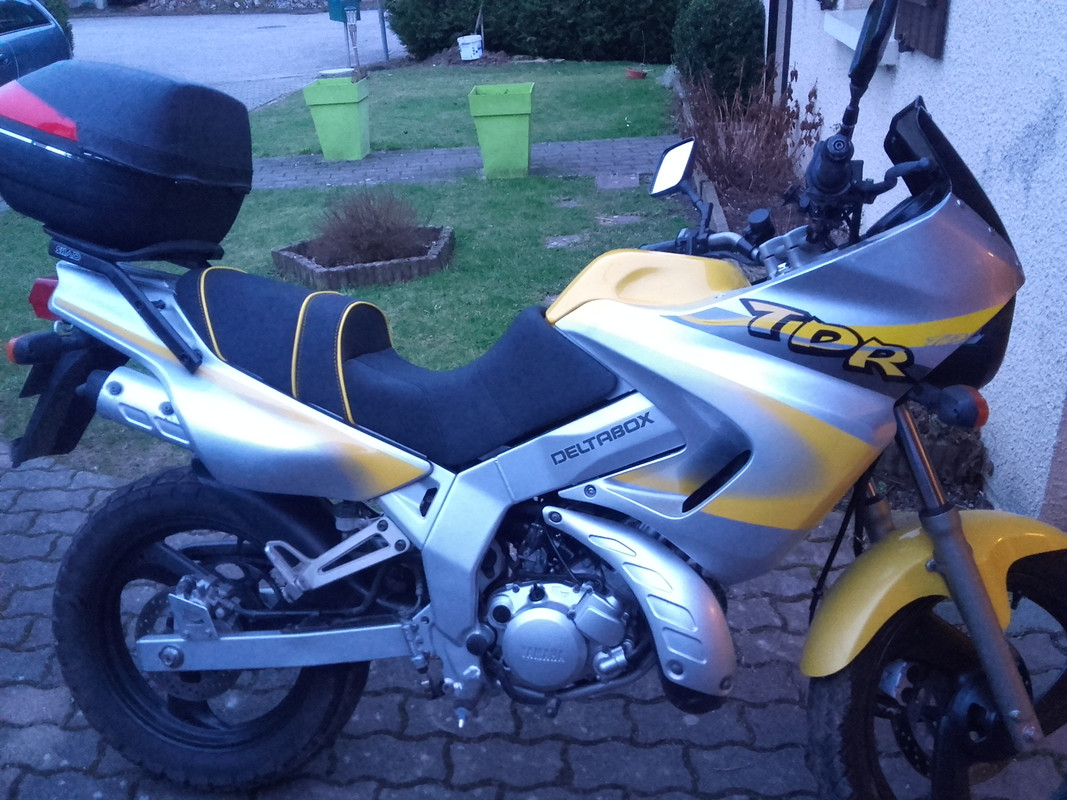 selle pelloso 3-3-2017 (5)